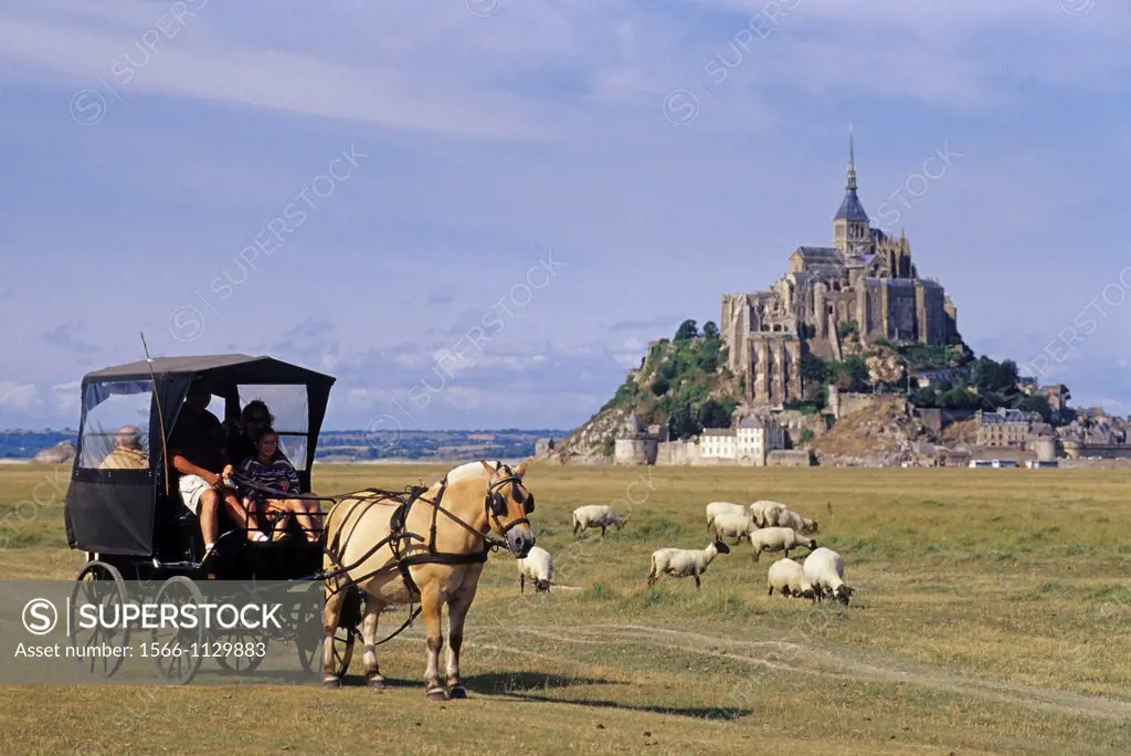 horse-drawn carriage on the shore, Mont-Saint-Michel bay, Manche department, Normandy region, France, Europe