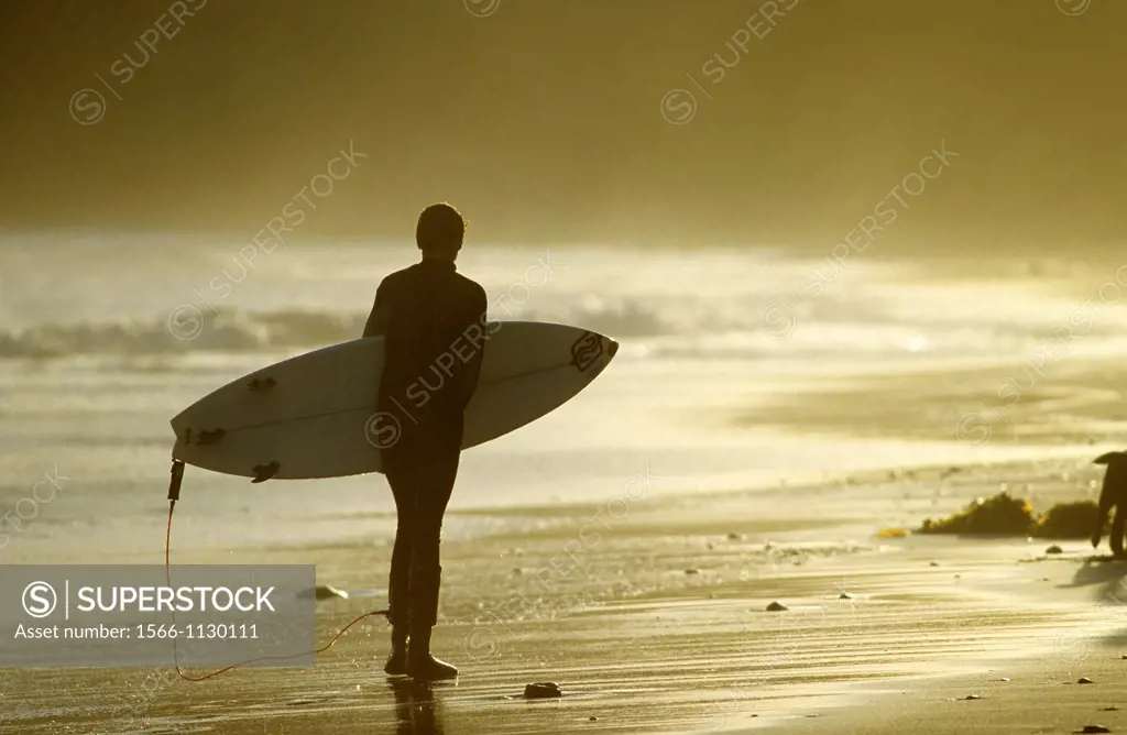 Surfer walking on Jan Luc beach, Torquay, Victoria, Australia
