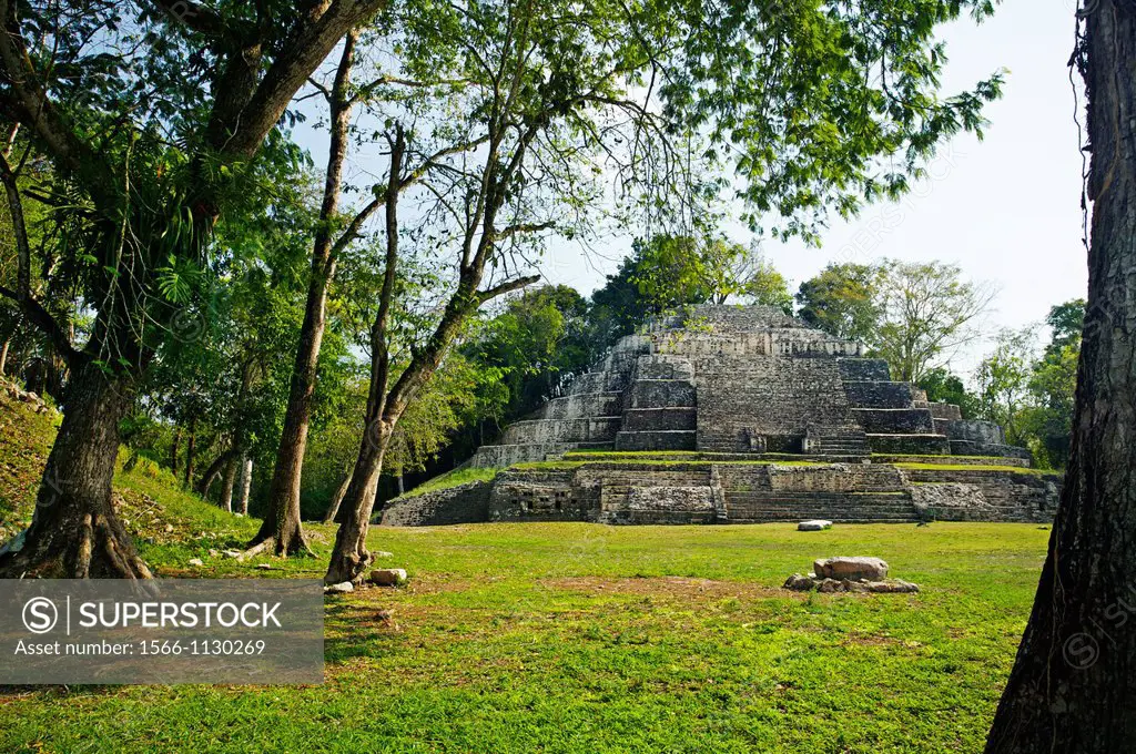 Ruins of Jaguar Temple at Lamanai  Maya temple ruins at Lamanai 300BC - 1500AD  Lamanai  Belize.