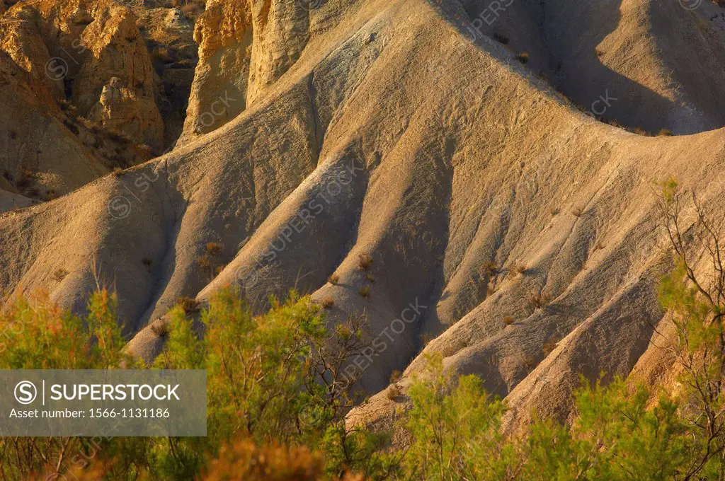 Tabernas Desert Natural Park, Tabernas, Almeria Province, Andalusia, Spain