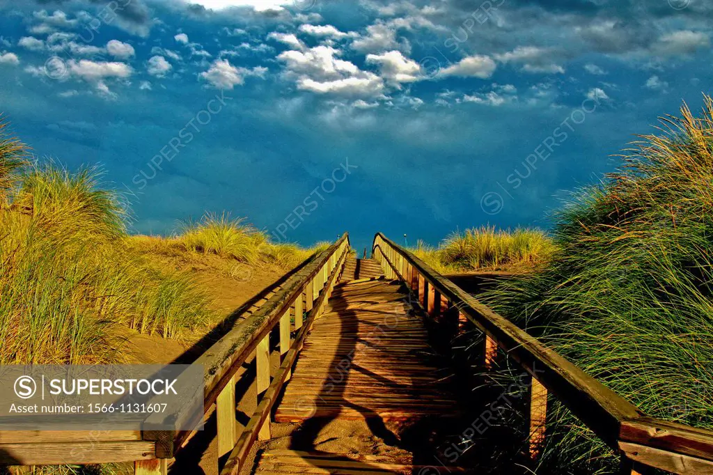 Wooden footbridge in sand dunes, Dunas del Espartal, Natural Park, Asturias, Spain