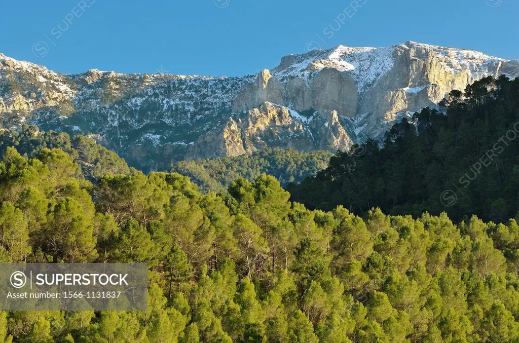 Sierras de Cazorla, Segura y las Villas Natural Park Jaén