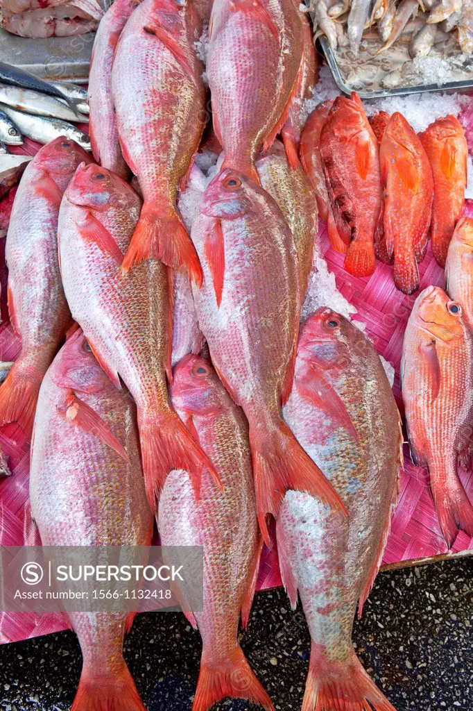 Fish, Sunday Market, Kuching, Borneo, Malaysia, Asia
