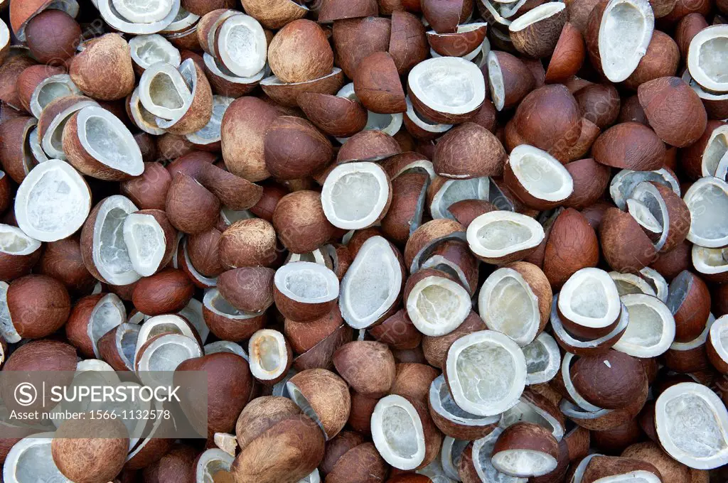 India, Kerala State, Fort cochin or Kochi, spices area, dry coconuts