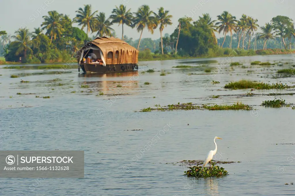 India, Kerala state, Allepey, backwaters, houseboat for tourist