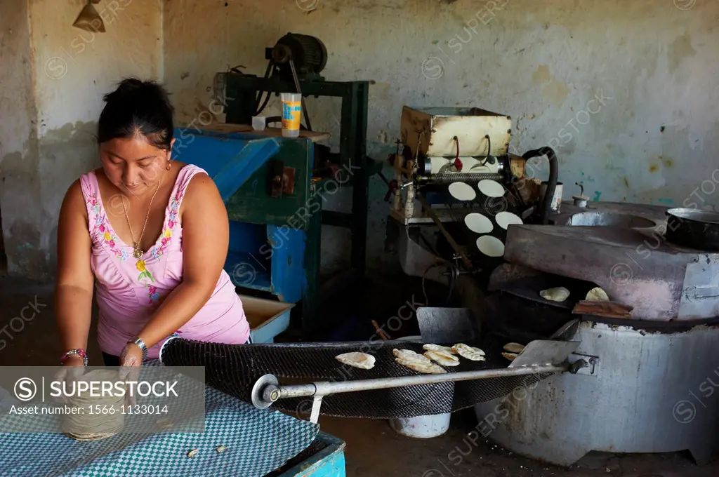 Mexico, Yucatan state, Merida, the capital of Yucatan, tacos factory