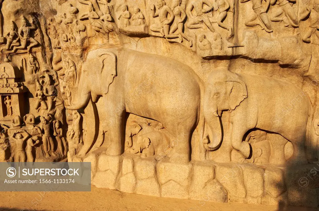 India, Tamil Nadu, Mamallapuram or Mahabalipuram, Arjunas Penance granite carvings, Unesco world heritage
