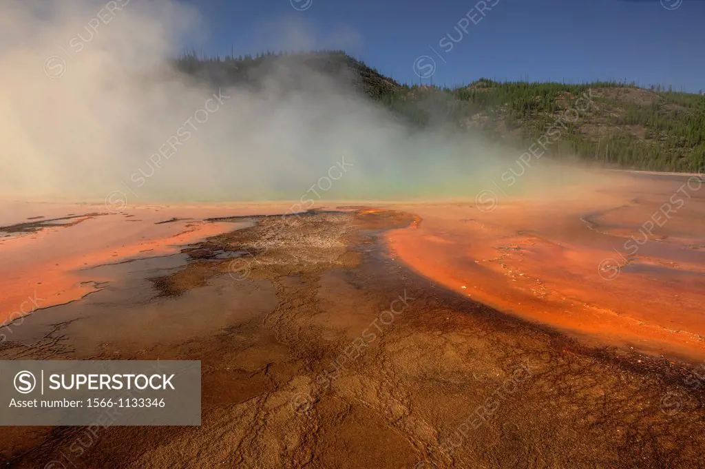 Thermophilic Algae in Grand Prismatic Spring, Midway Geyser Basin,Yellowstone National Park, Wyoming, USA