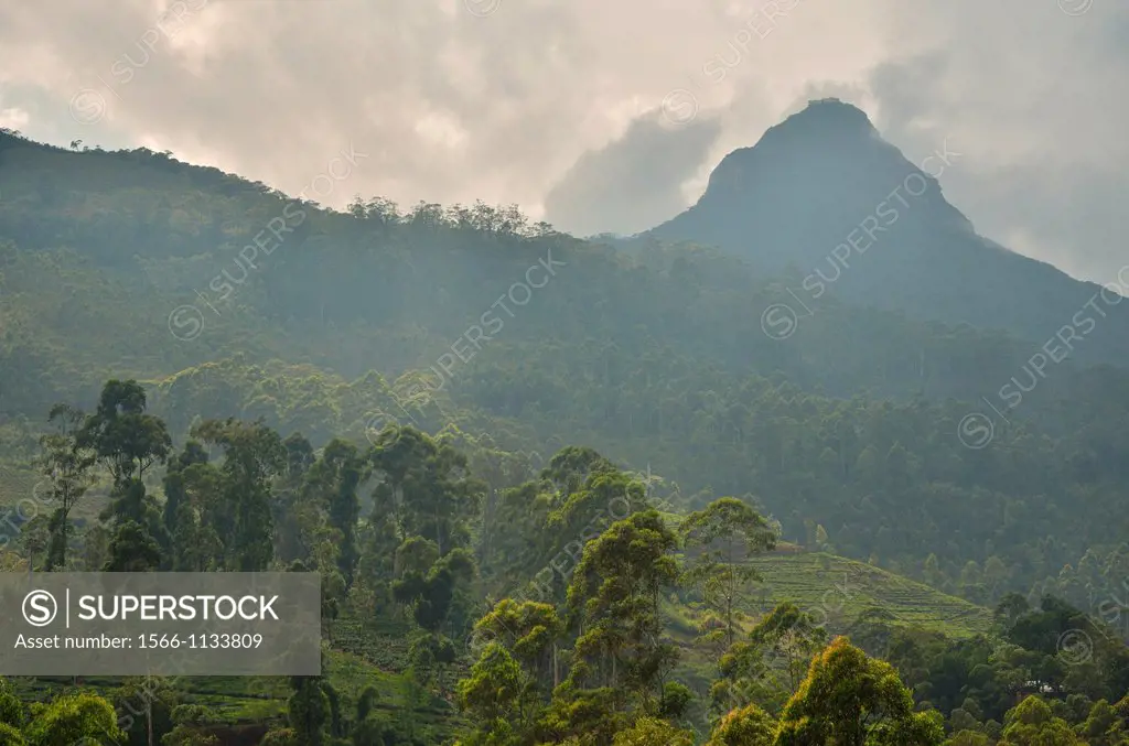 Adam´s peak Sri Lanka  Sacred place for Hinduism, Buddhism, Islam and Christianity