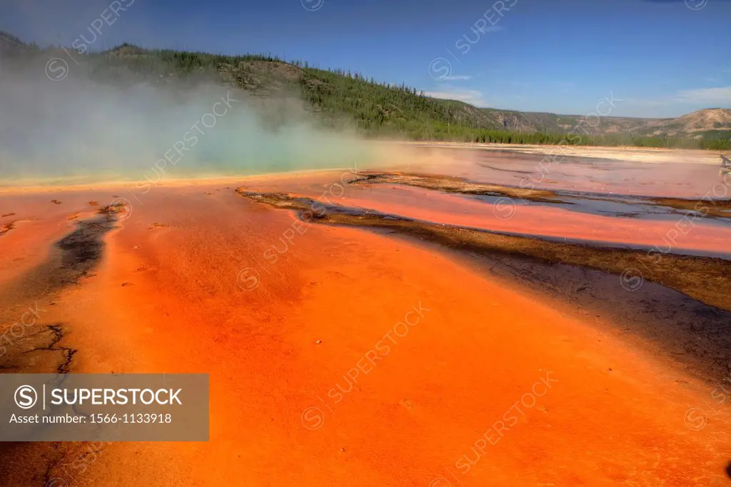 Thermophilic Algae in Grand Prismatic Spring, Midway Geyser Basin,Yellowstone National Park, Wyoming, USA