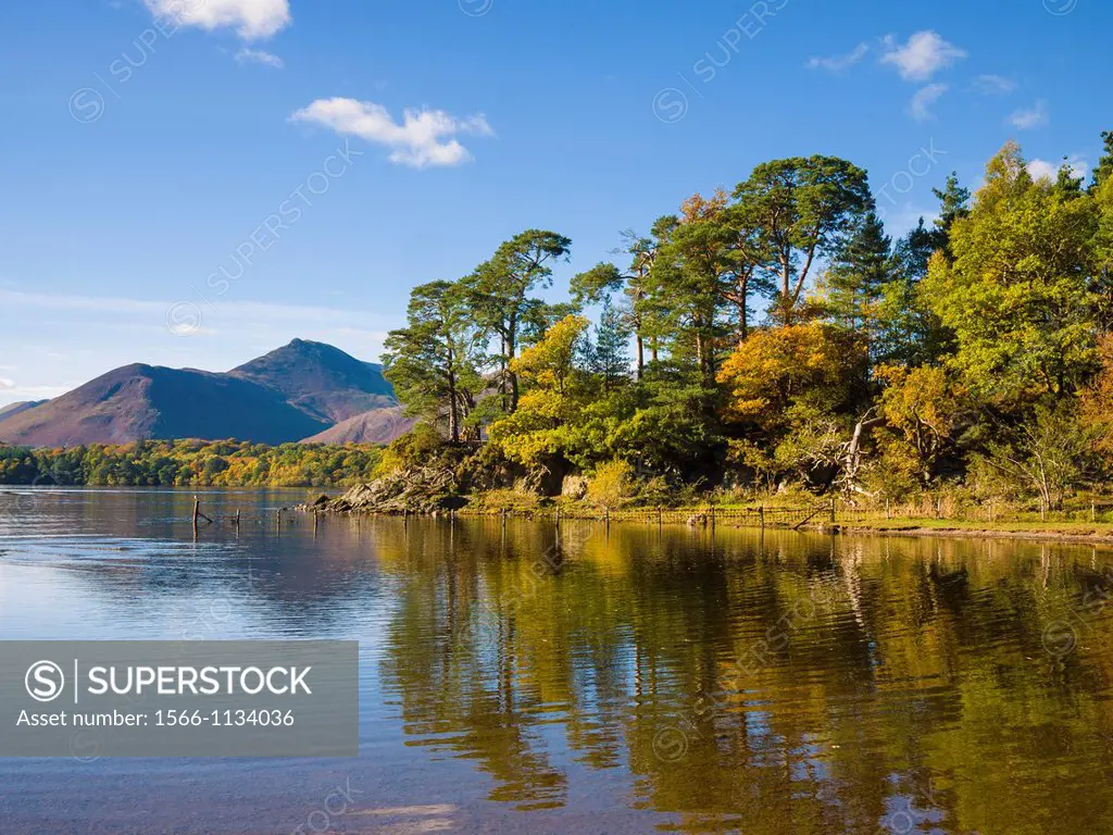 Autumn colours at Friar´s Crag on the shore of Derwent Water in the Lake District, Keswick, Cumbria, England, United Kingdom