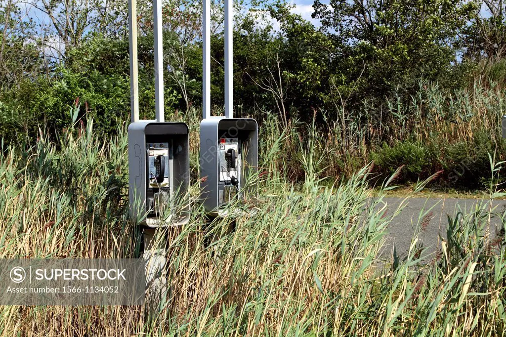 Two old pay phones abandoned and overgrown with brush along a roadside  Lyndhurst, New jersey, USA