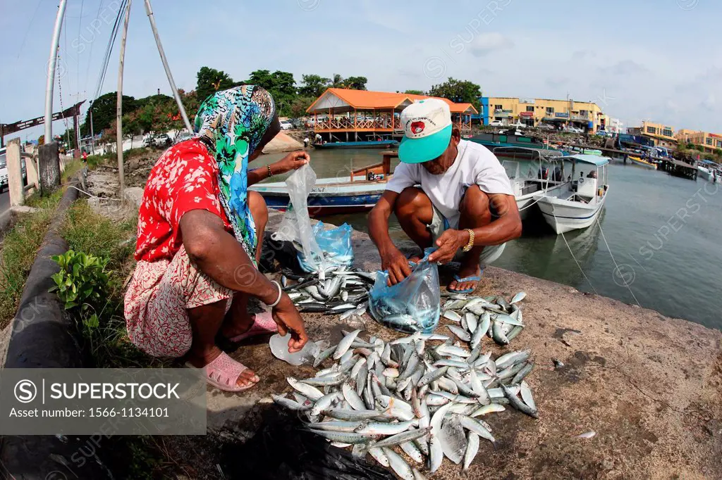 Fisherman selling fish, Semporna, Sabah, malaysia, borneo
