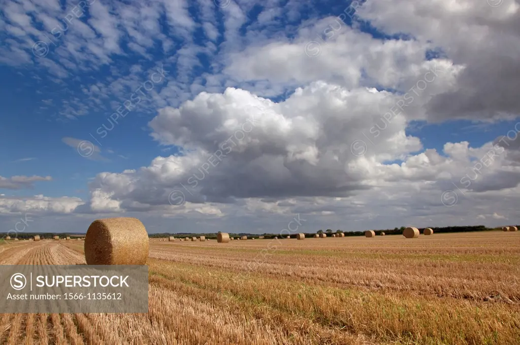Stubble and Bales after Harvest Norfolk August