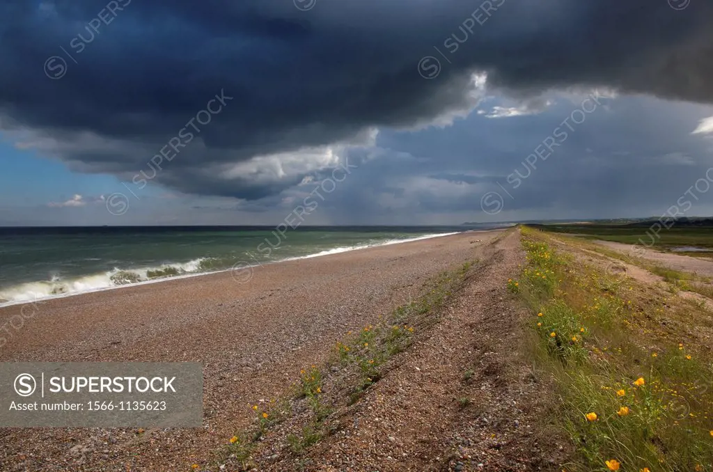 Cley Beach North Norfolk towards Salthouse July