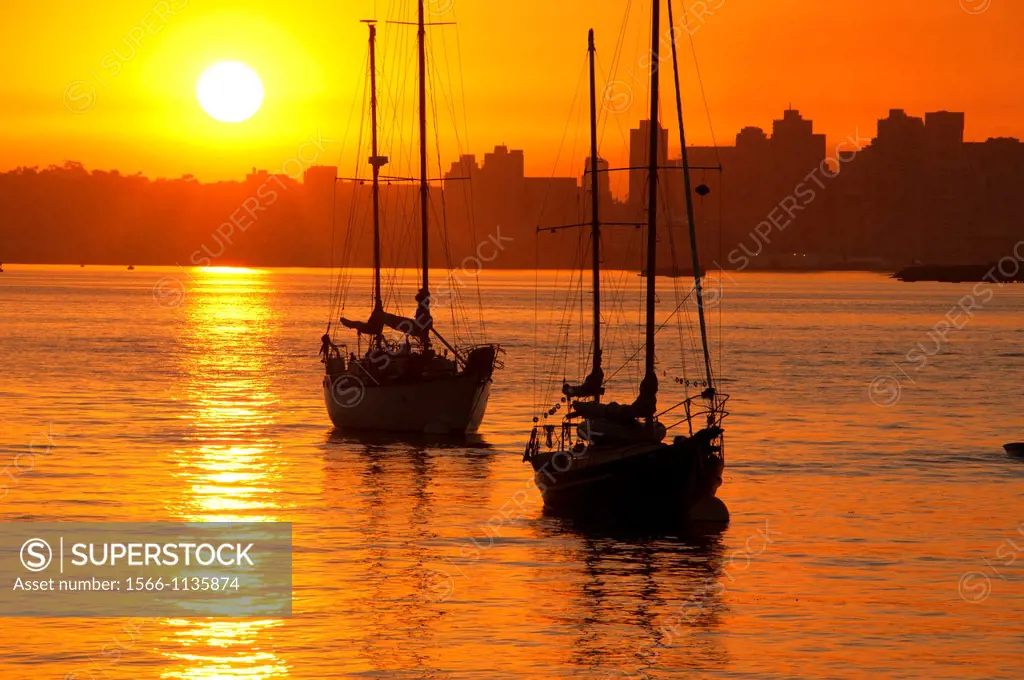 Sunrise with sailboats in San Diego Bay, Shelter Island, San Diego, California