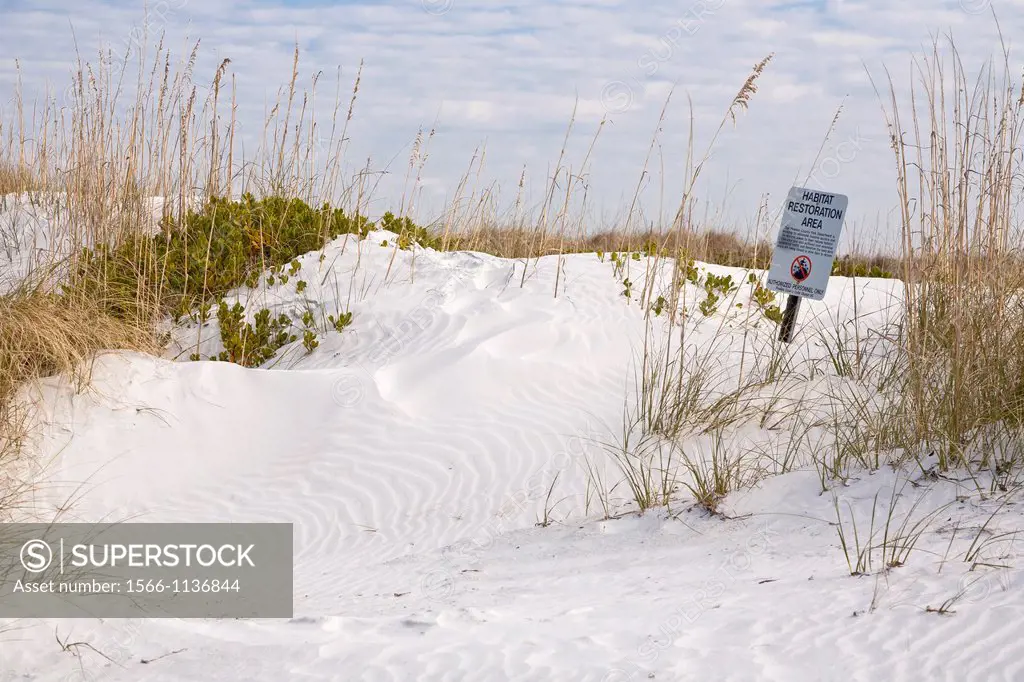 Sign warns of habitat restoration area in sand dunes along coast line in Fort De Soto county park in Tierra Verde, Florida