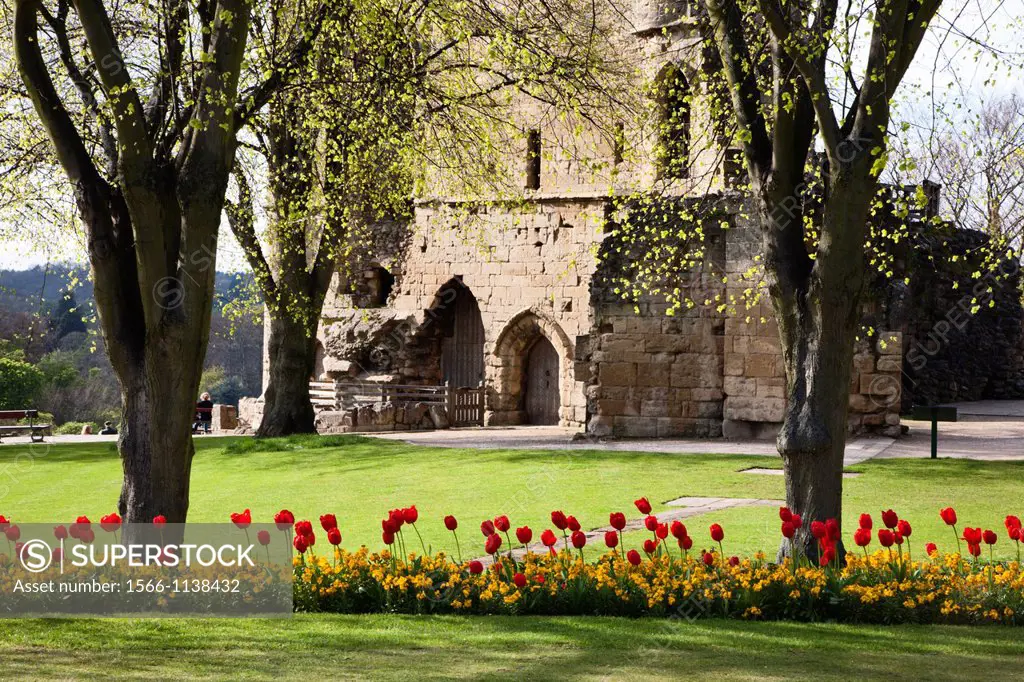 Knaresborough Castle Grounds in Spring Knaresborough North Yorkshire England