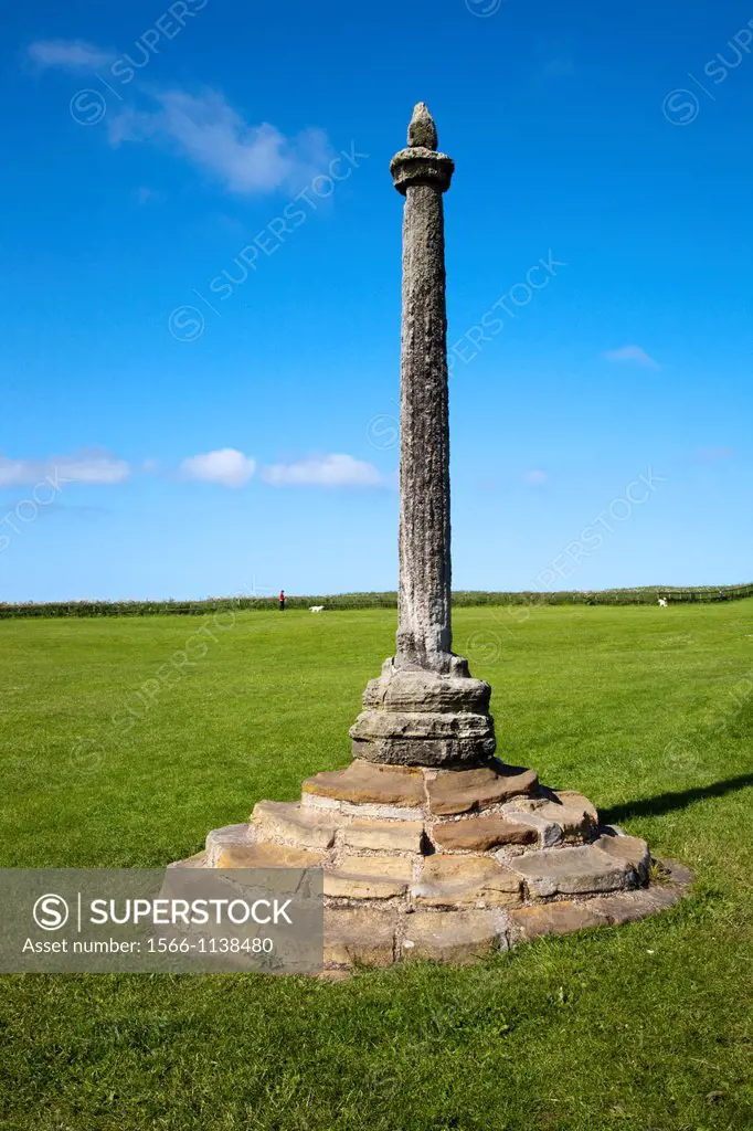 Weathered Monument at Whitby Abbey Whitby North Yorkshire England