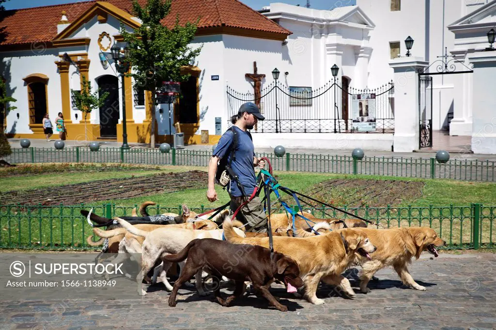 Dog Walker, Buenos Aires, Argentina
