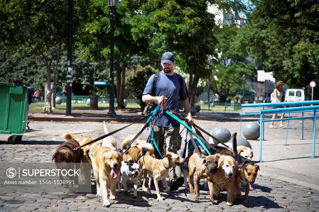 Dog Walker, Buenos Aires, Argentina