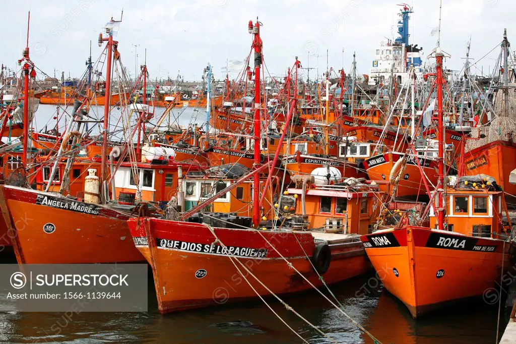Fishing boats at the port, Mar del Plata, Argentina