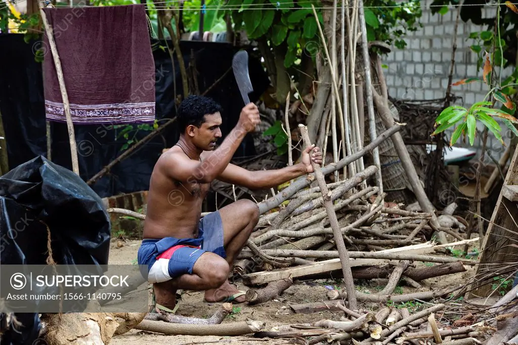 Local man from Waikkal village, cutting firewood using a small machete, Sri Lanka