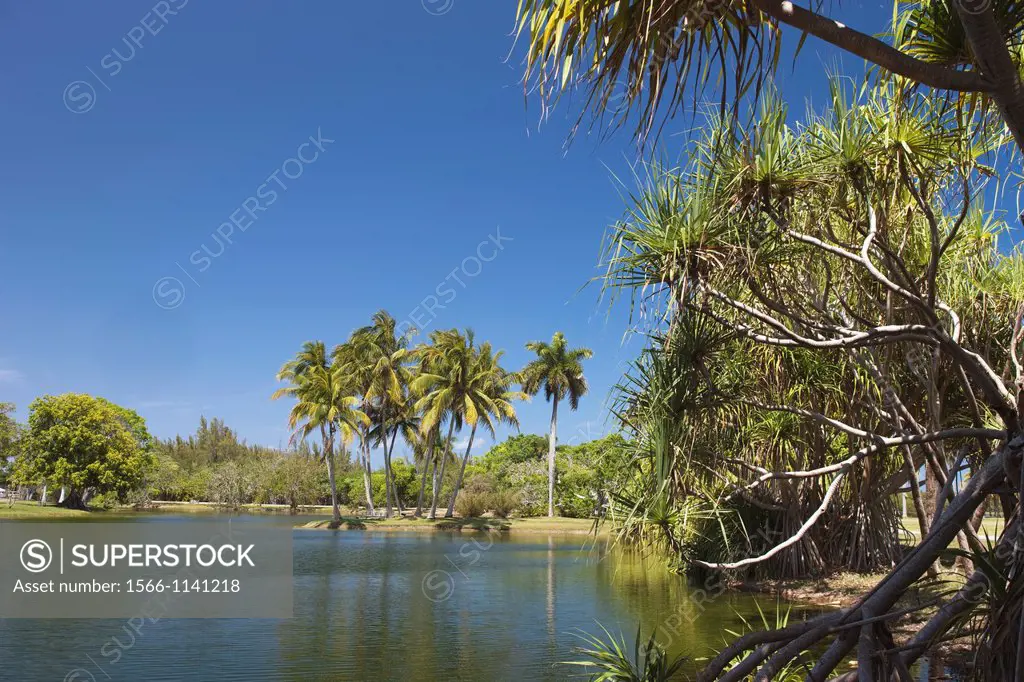PANDANUS LAKE FAIRCHILD TROPICAL BOTANIC GARDEN CORAL GABLES FLORIDA USA