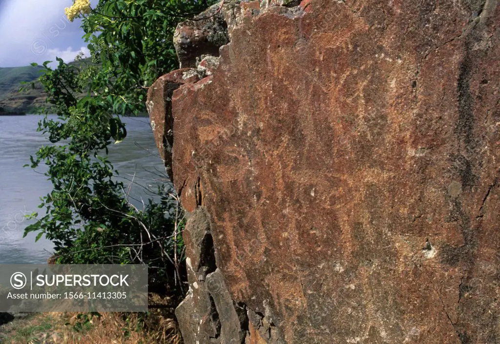 Buffalo Eddy petroglyphs, Nez Perce National Historic Park, Washington.