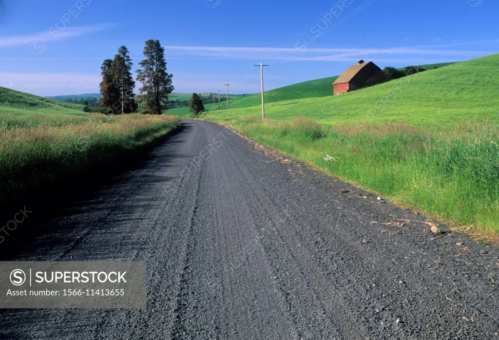 Palouse road with barn, Whitman County, Washington.