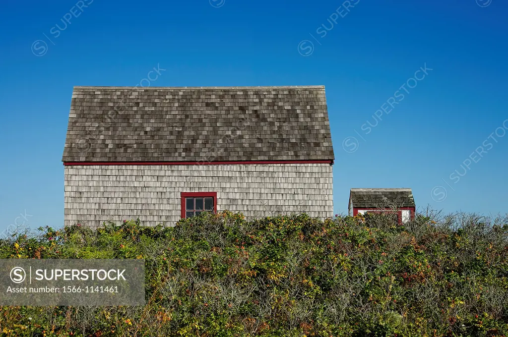 Coastal cottage, Cape Cod, USA