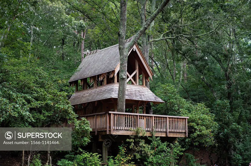 Tree house, Hidden Hollow, Heritage Museums and Gardens, Sandwich, Massachusetts, USA