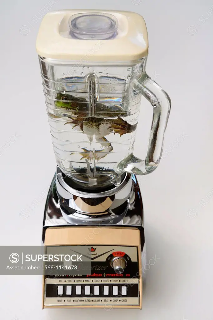 Frog trapped in a antique blender representing the vulnerability of some species