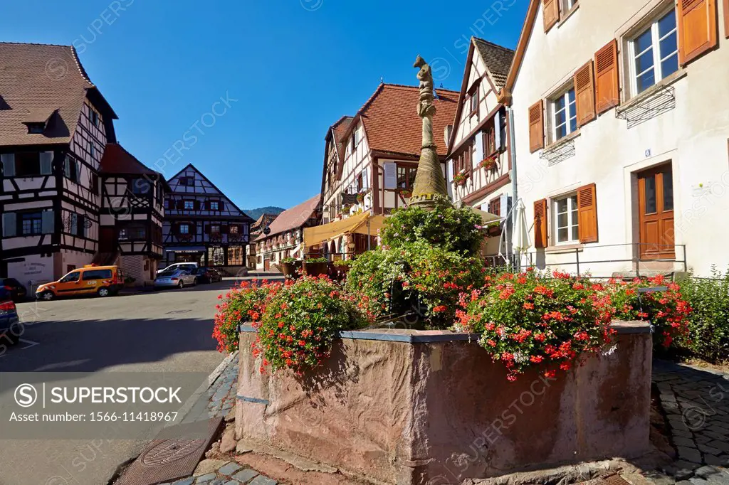 France,Alsace,Bas-Rhin (67),Wine Route,Dambach city,fountain in the Town Hall Square.