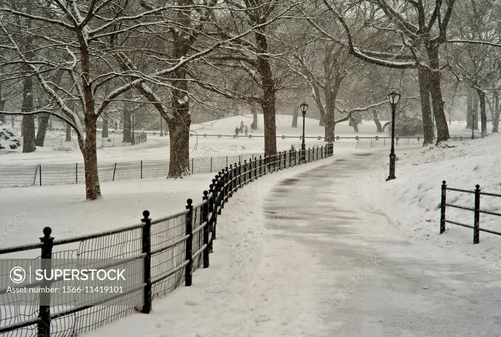 Snow blizzard in Central Park. Manhattan. New York City.
