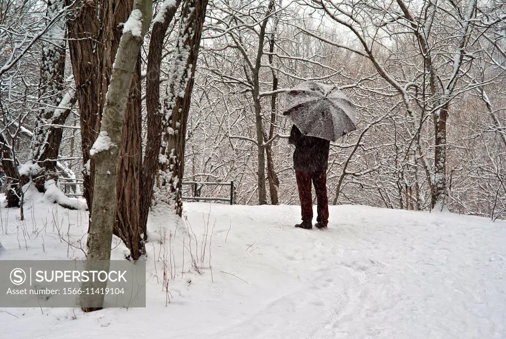 Snow blizzard in Central Park. Manhattan. New York City.Man protecting himself from the snow under a black umbrella.