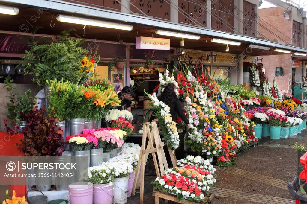 Chile Santiago de Chile flower market.