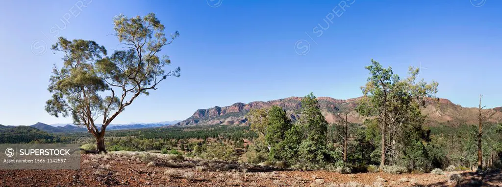 Flinders Ranges National Park in South Australia The Heysen Range and the Aroona Valley Named after Sir Hans Heysen, one of the most important artists...