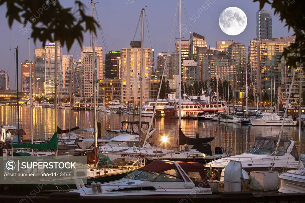 COAL HARBOUR FROM STANLEY PARK DOWNTOWN SKYLINE VANCOUVER BRITISH COLUMBIA CANADA