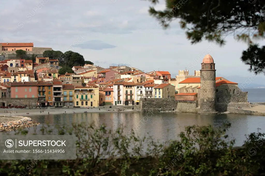 Collioure harbour and town on the Mediterranean coast, Languedoc, southern France.