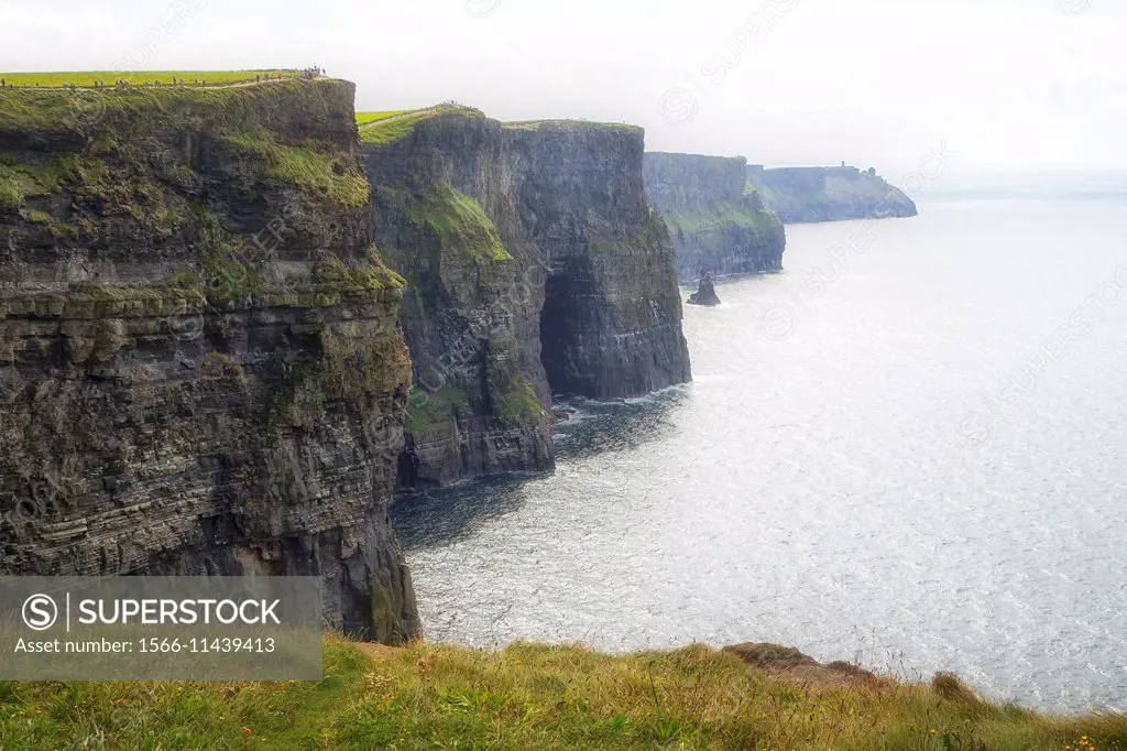 Cliffs of Moher, County Clare, Munster province, Ireland.
