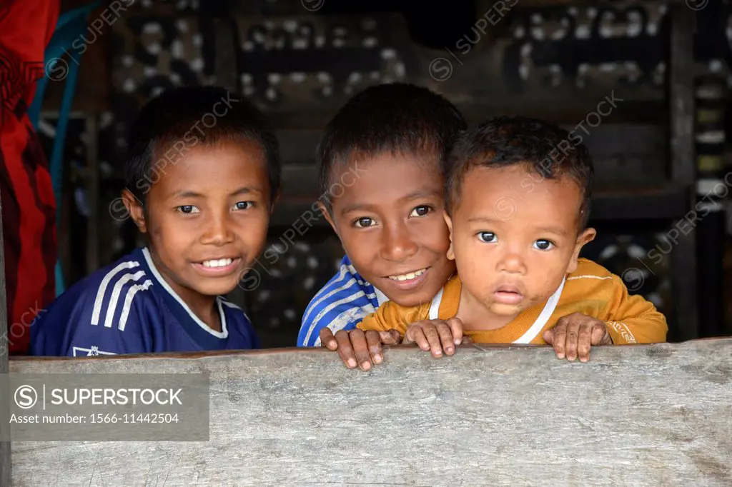 Three boys at Gurusina traditional village, Bajawa, Flores island, Indonesia, South East Asia.
