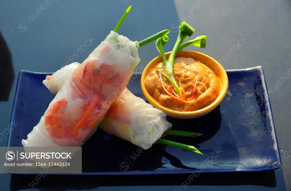 Vietnamese springs rolls, Indonesia, South East Asia.