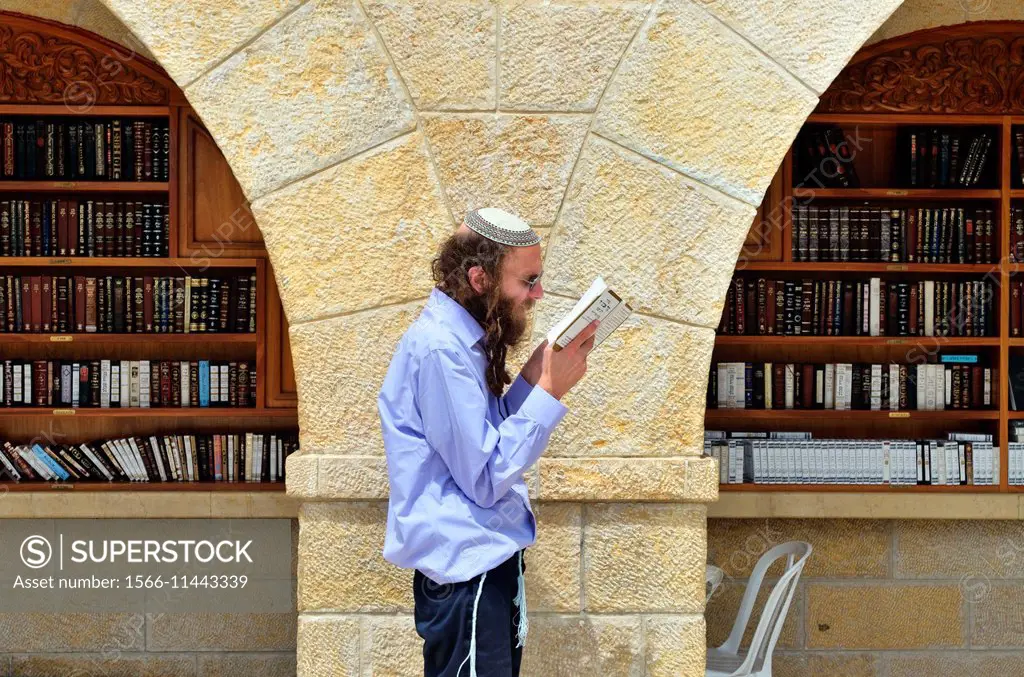 Jew reads Torah near the Torah ark at the Wailing Wall, Jerusalem, Israel.