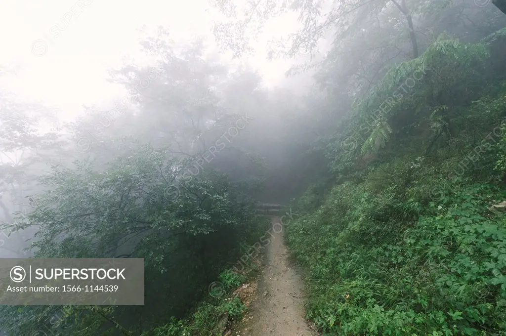 The fog covered trail up to the San Huang Zhai Monastery on Song Mountain, China