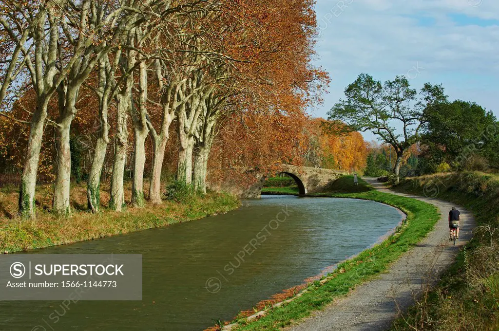 France, Languedoc-Roussillon, Aude 11, Canal du Midi, tree lined canal