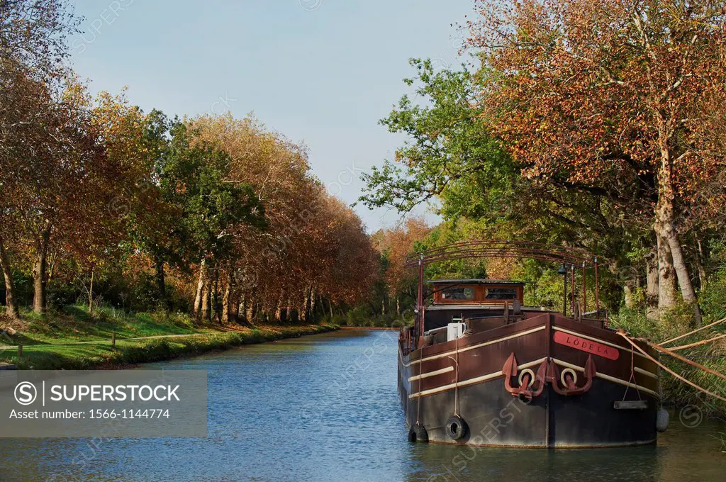 France, Languedoc-Roussillon, Aude 11, Canal du Midi, tree lined canal