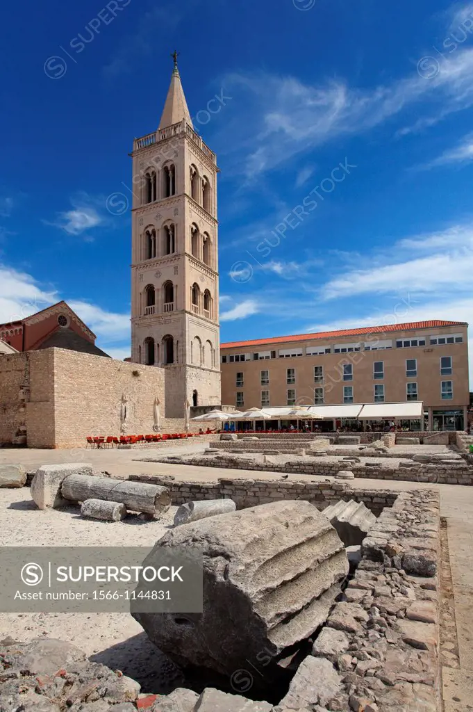The bell tower of St  Anastasia cathedral, Zadar, Croatia