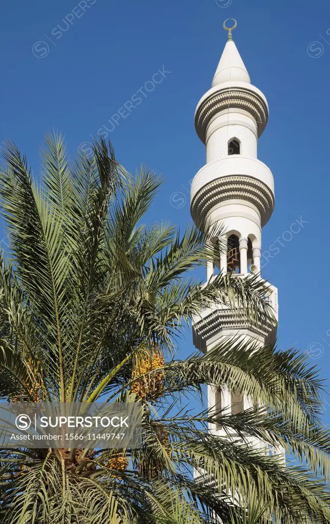 Mosque and dates palm downtown Abu Dhabi, UAE