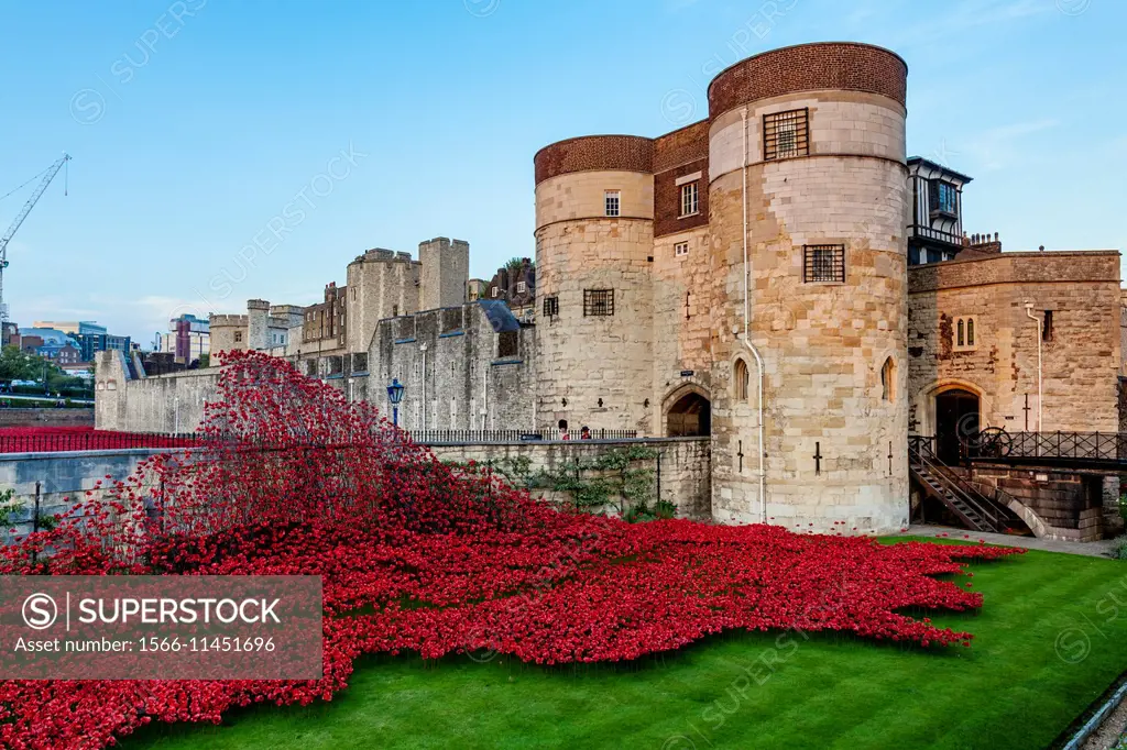 Poppy Display at The Tower of London To Commemorate the 100 year Anniversary of the First World War, London, England.